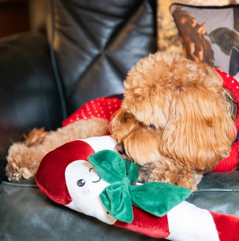 Rosewood Cupid & Comet Clarke Candy Cane