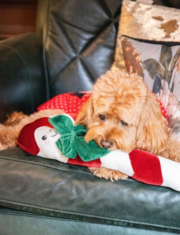 Rosewood Cupid & Comet Clarke Candy Cane
