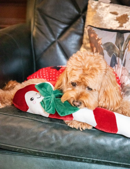 Rosewood Cupid & Comet Clarke Candy Cane