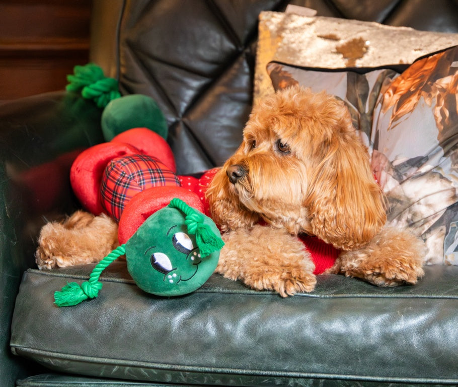 Rosewood Cupid & Comet Jumbo Casper Caterpillar