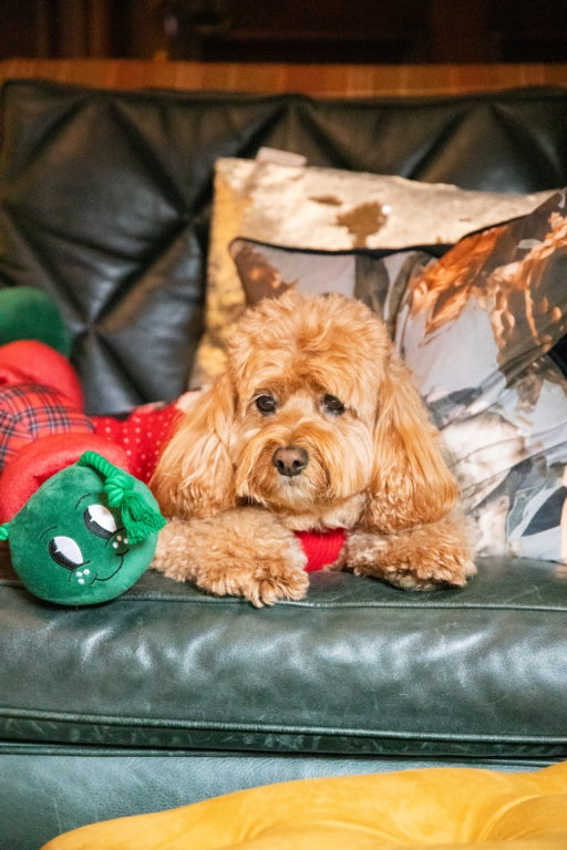 Rosewood Cupid & Comet Jumbo Casper Caterpillar