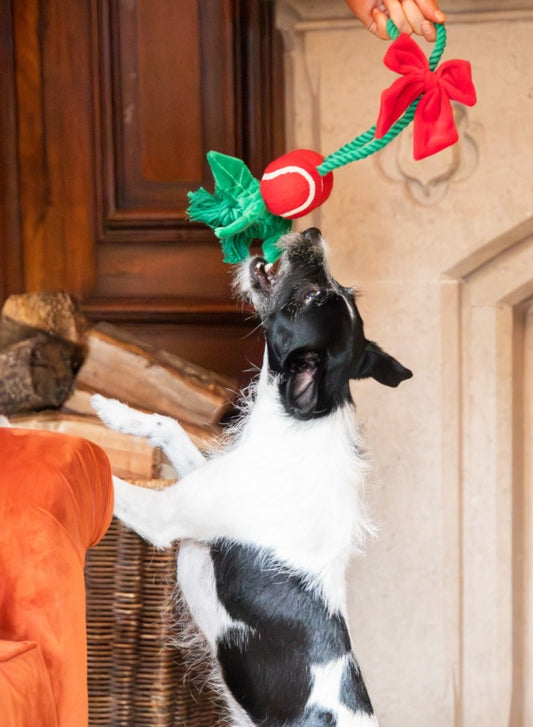 Rosewood Cupid & Comet Holly Jolly Rope Toy