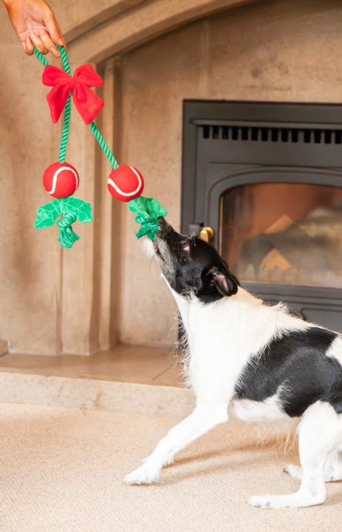 Rosewood Cupid & Comet Holly Jolly Rope Toy