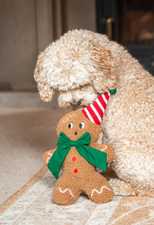 Rosewood Cupid & Comet George Gingerbread Man