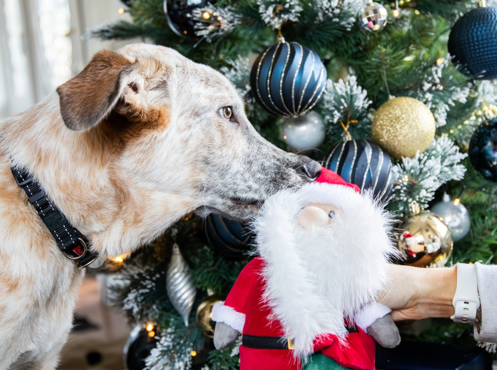 Rosewood Cupid & Comet Sebastian Santa