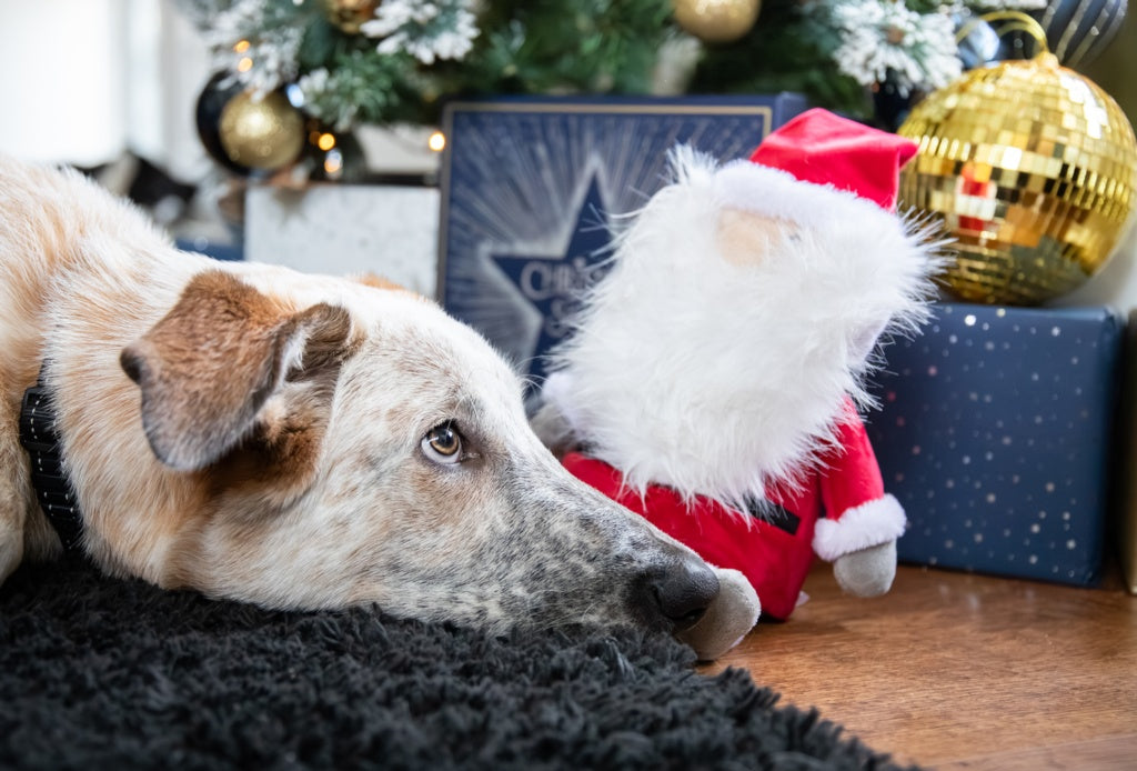 Rosewood Cupid & Comet Sebastian Santa