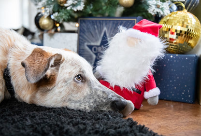 Rosewood Cupid & Comet Sebastian Santa