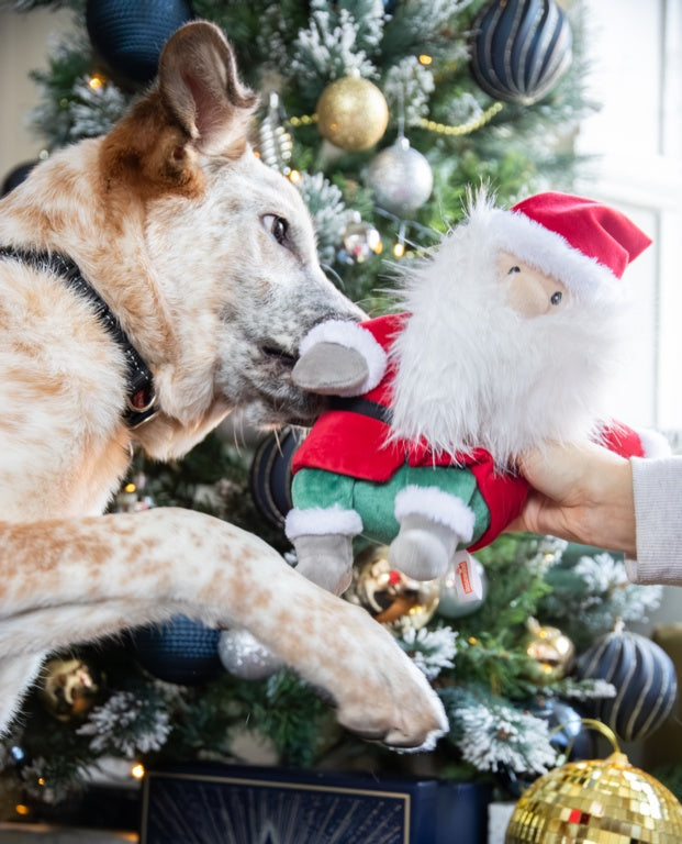 Rosewood Cupid & Comet Sebastian Santa