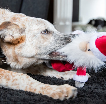 Rosewood Cupid & Comet Sebastian Santa