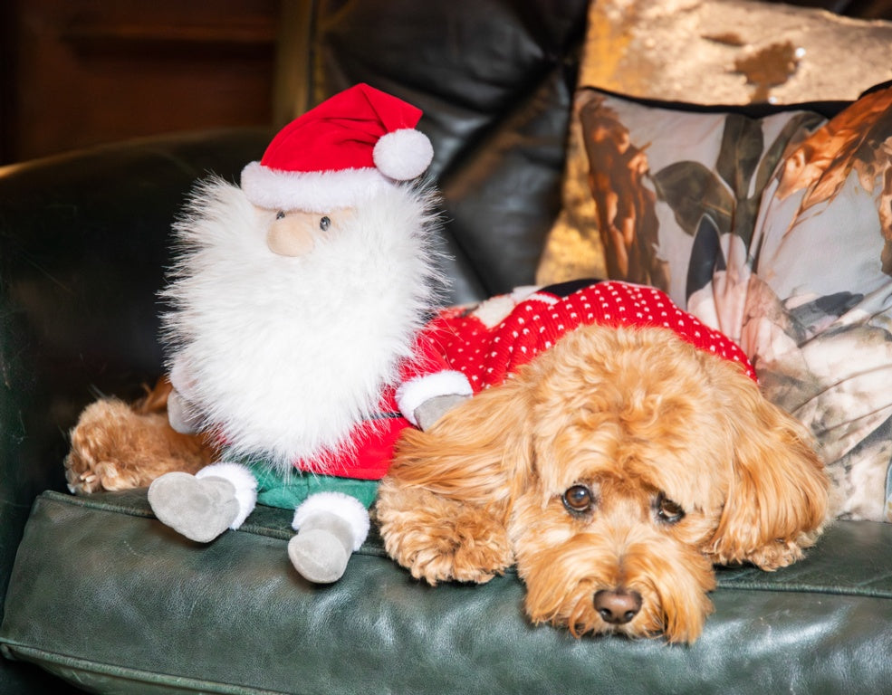 Rosewood Cupid & Comet Sebastian Santa