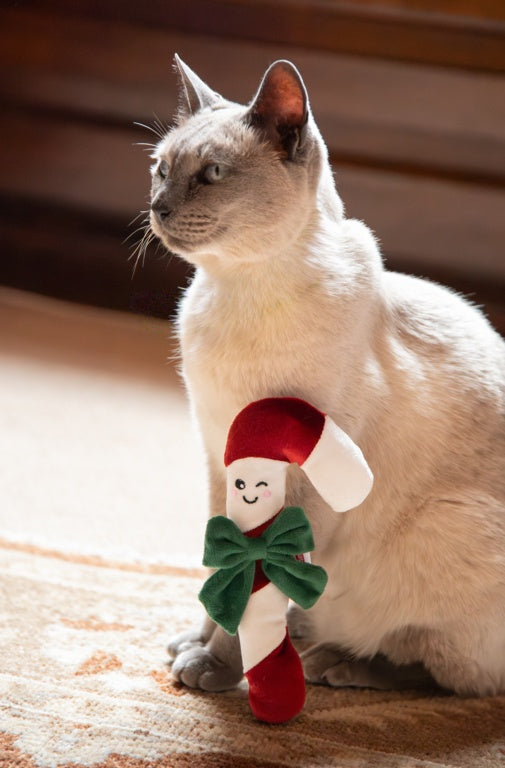 Rosewood Cupid & Comet Claude Candy Cane