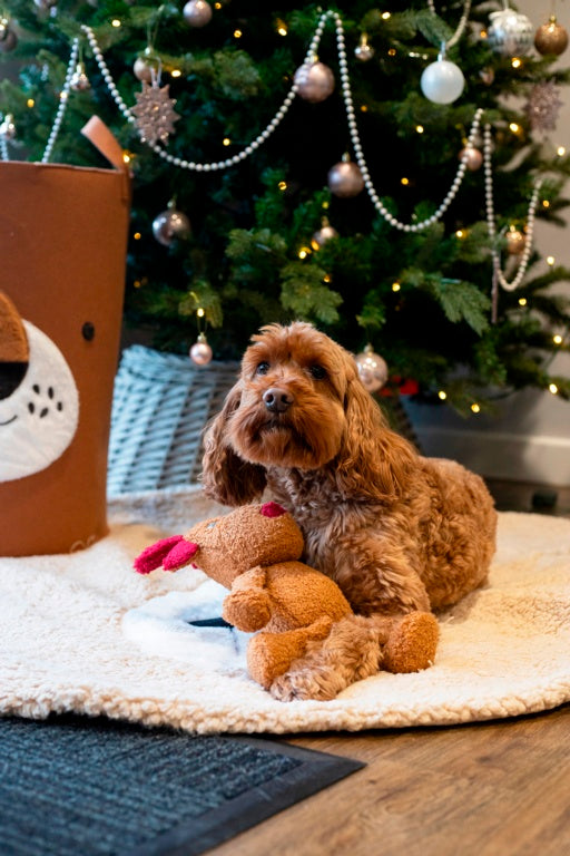 Rosewood Cupid & Comet Tufflove Reindeer