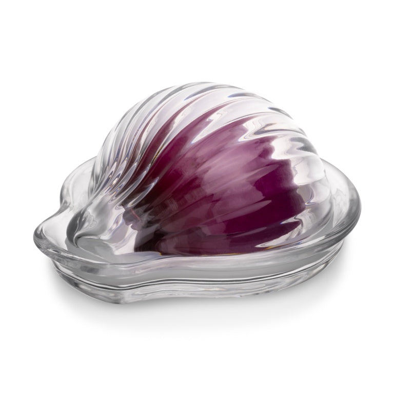 Kilner Onion Keeper
