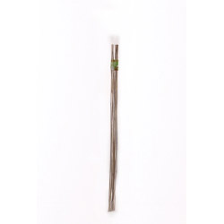 Ambassador Bamboo Canes 5 Pack 10