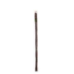 Bamboo Canes
