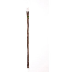 Ambassador Bamboo Canes 7 Pack 10